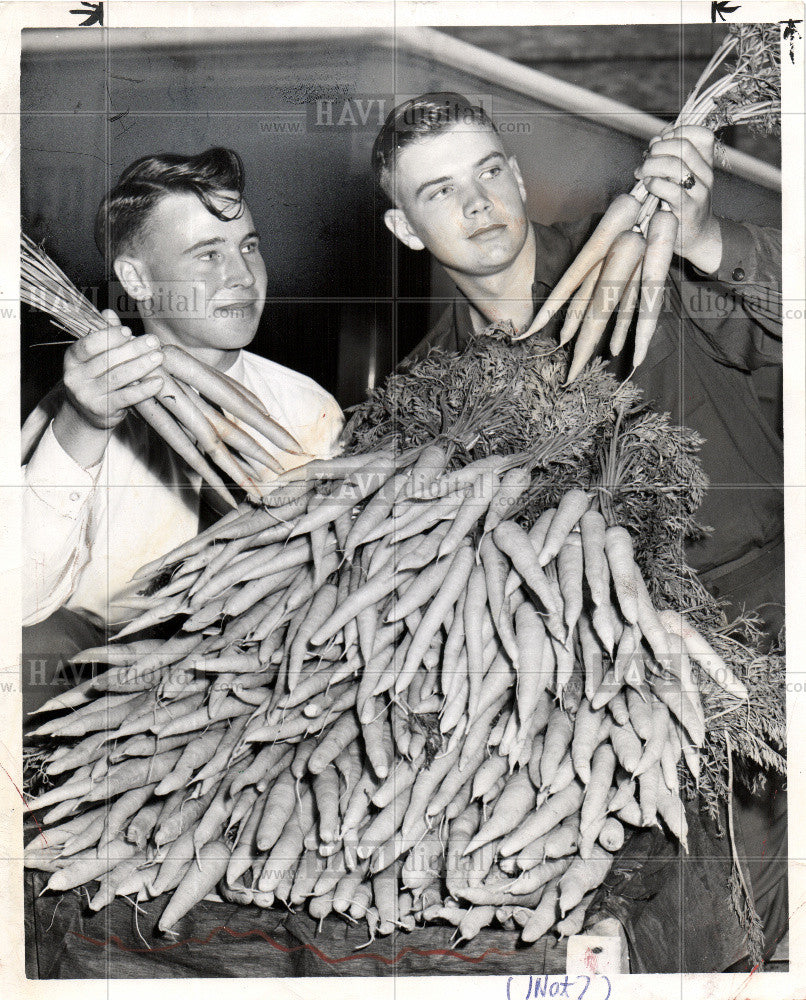 1993 Press Photo Future Farmers Carrot loyalist tint - Historic Images