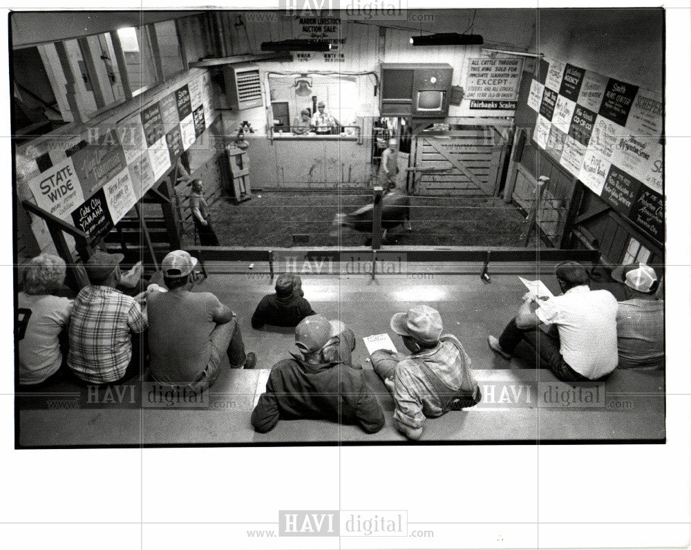 1989 Press Photo cattle auction - Historic Images