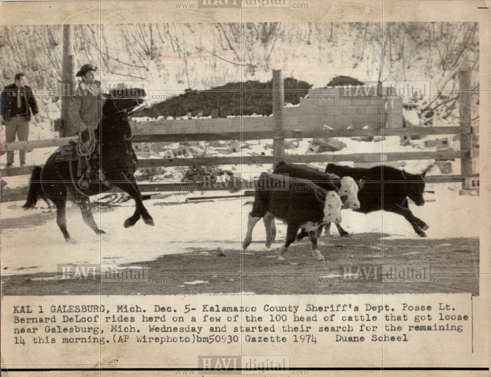 1974 Press Photo Bernard DeLoof cattle posse Michigan - Historic Images