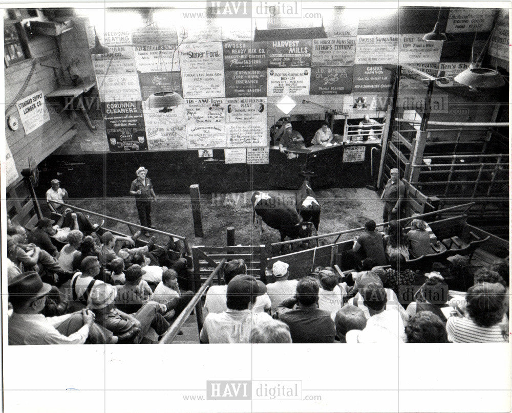 1978 Press Photo Cattle Sale - Historic Images