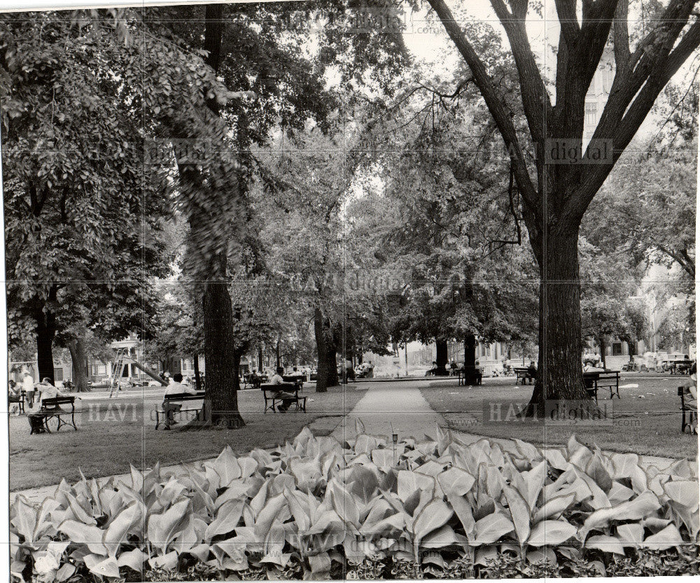 1952 Press Photo Park, tree - Historic Images