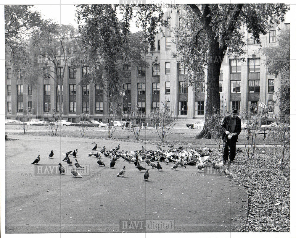 1960 Press Photo Cass Park park - Historic Images