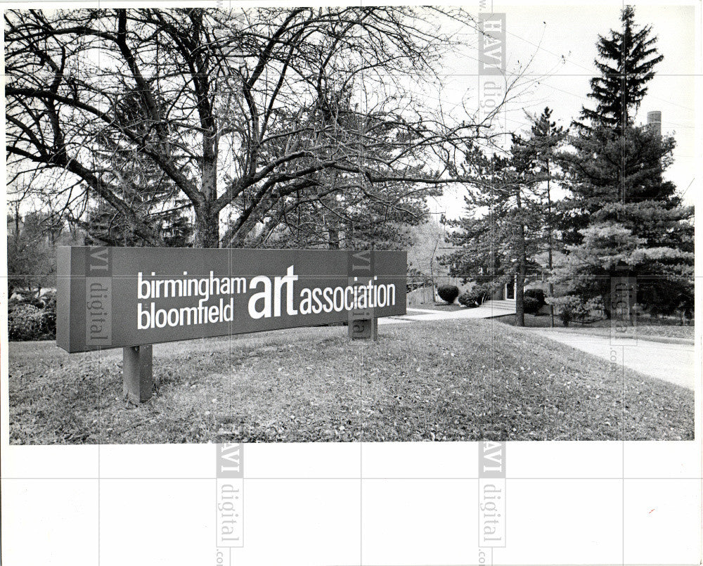 1980 Press Photo Birmingham Bloomfield art Association - Historic Images