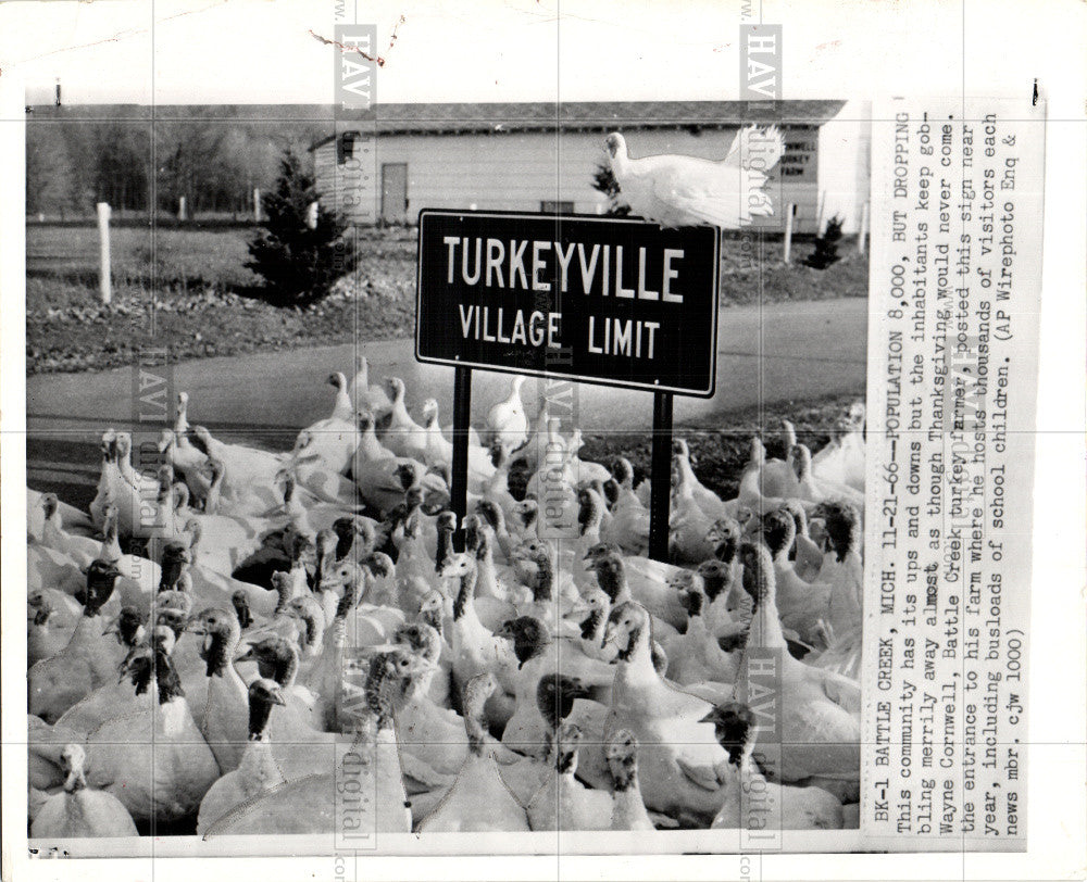 1966 Press Photo Wayne Cornwell&#39;s turkey farm - Historic Images