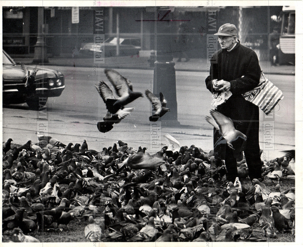 1972 Press Photo Halke Christmas day Pigeons - Historic Images