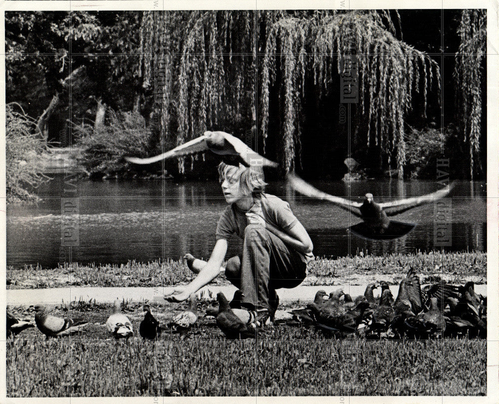 1974 Press Photo Boy Feeding Bird Pigeon Palmer Park - Historic Images