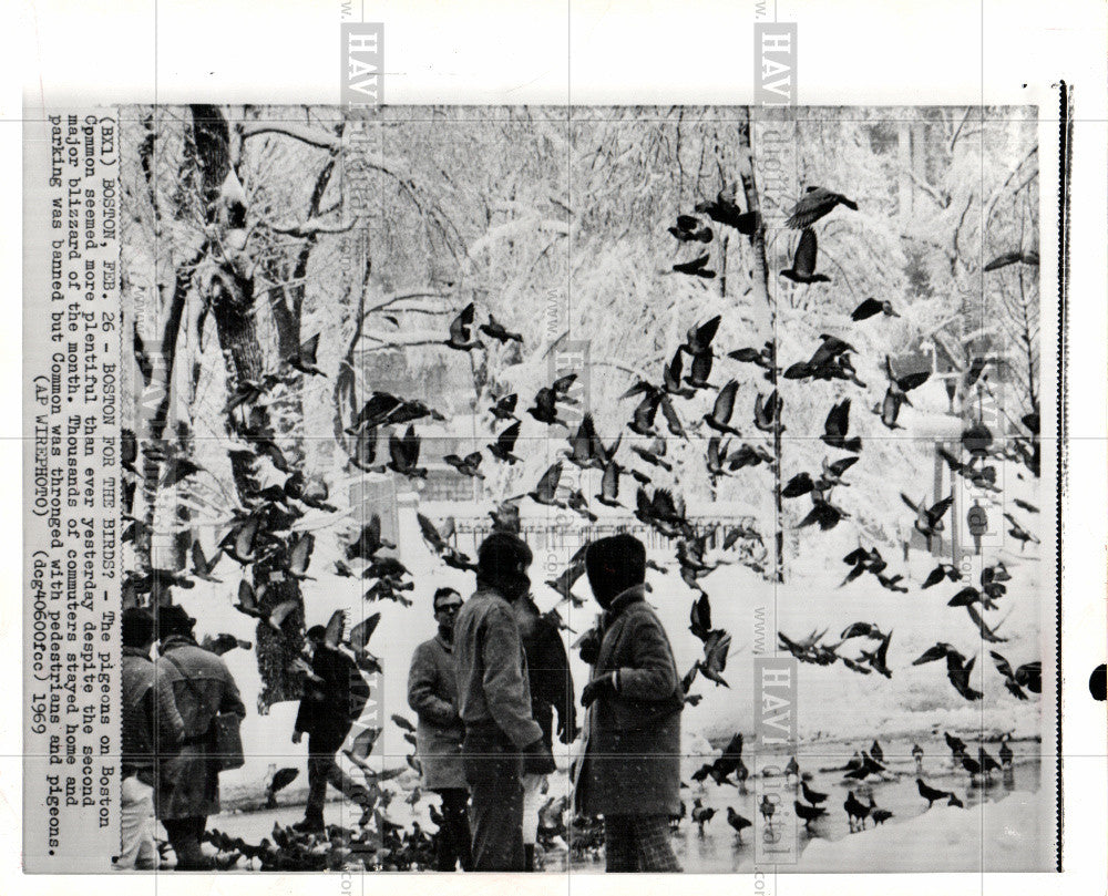 1969 Press Photo pigeons Boston blizzard pedestrians - Historic Images