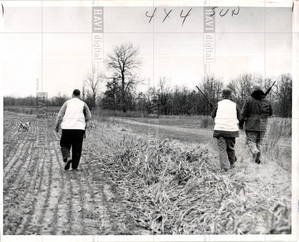 1958 Press Photo PHEASANT - Historic Images