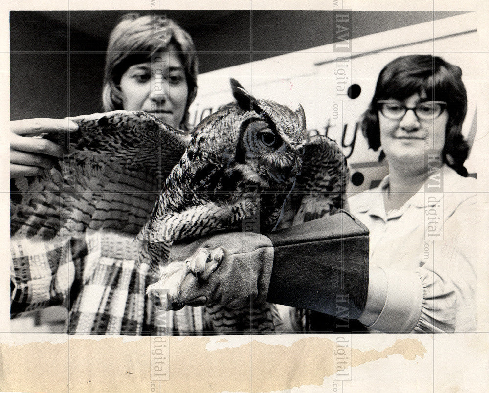 1974 Press Photo BIRD OWL - Historic Images