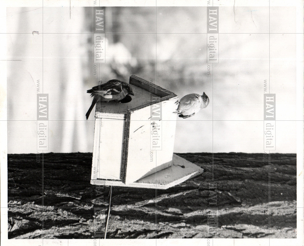 1993 Press Photo Birdhouse BIRD FEEDING SEASON - Historic Images