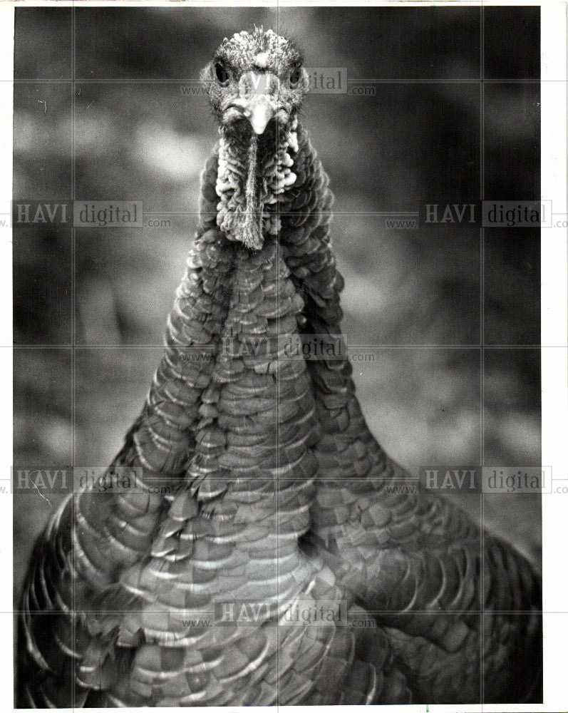 1978 Press Photo Greenfield Village - Historic Images