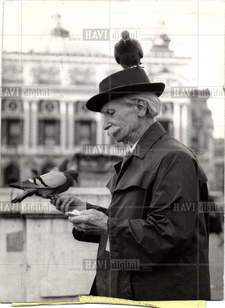 1955 Press Photo Pigeons - Historic Images