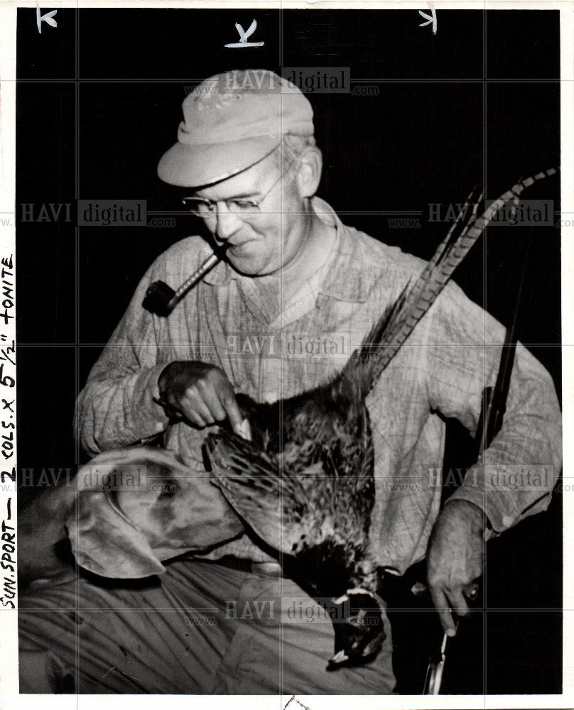 1957 Press Photo Pheasant - Historic Images