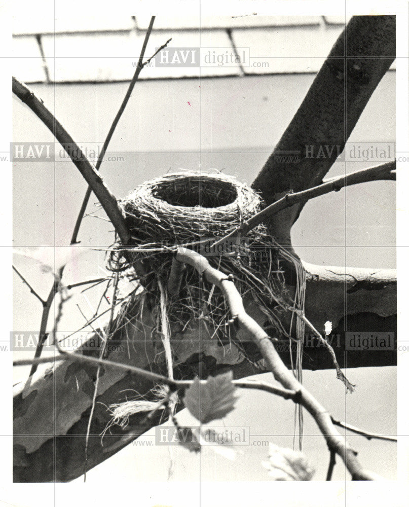 1978 Press Photo Empty nest family crisis - Historic Images