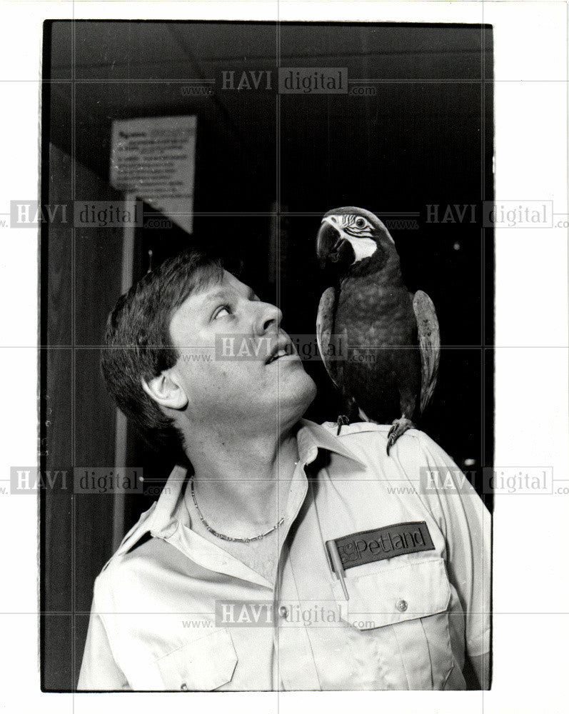 1985 Press Photo Robert Redisch Pedro macaw Bloomfield - Historic Images