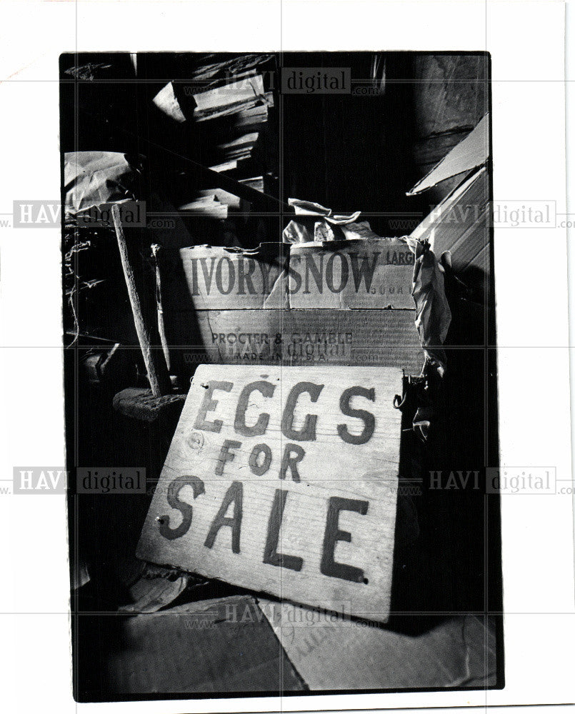 1982 Press Photo Brooks Farm Wood Shed - Historic Images