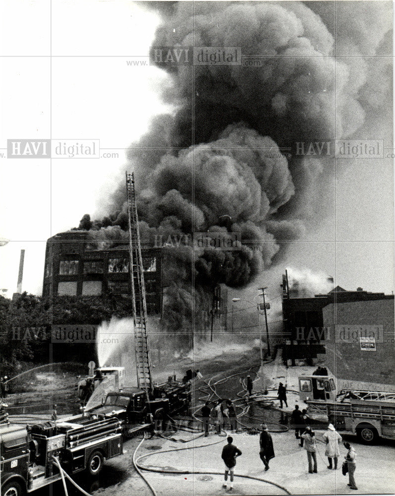 1984 Press Photo briggs - Historic Images