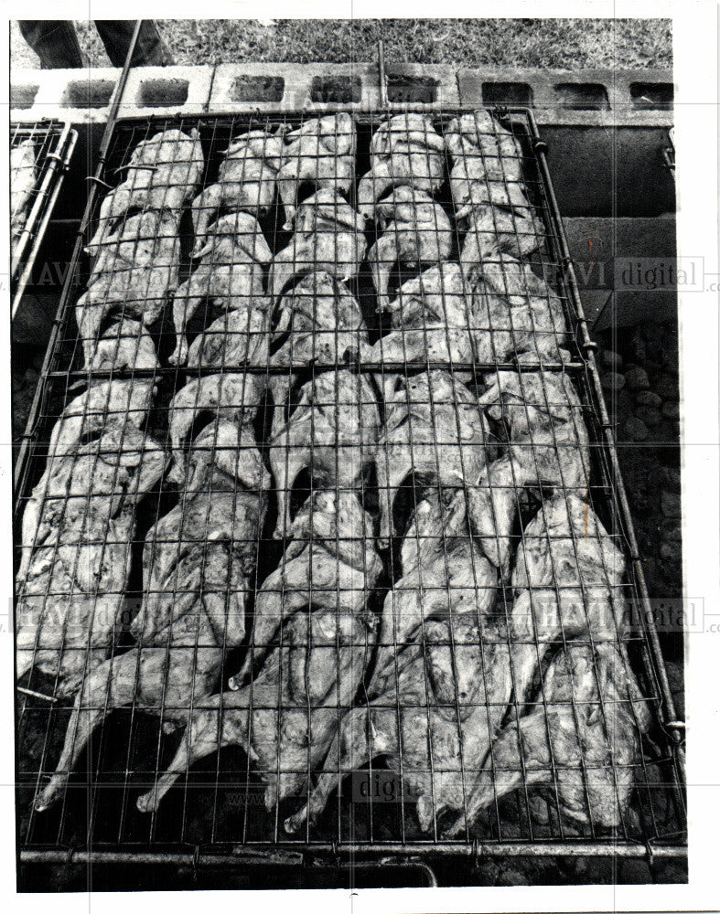 1981 Press Photo broiler chicken  meat - Historic Images