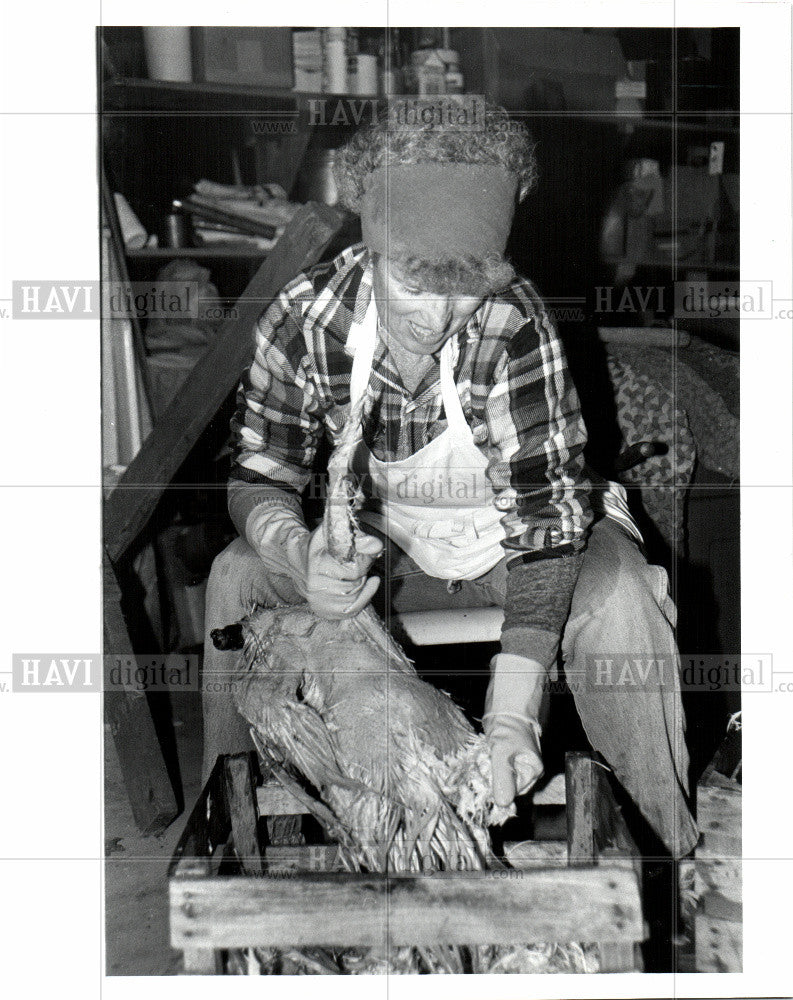 1986 Press Photo Chicken - Historic Images