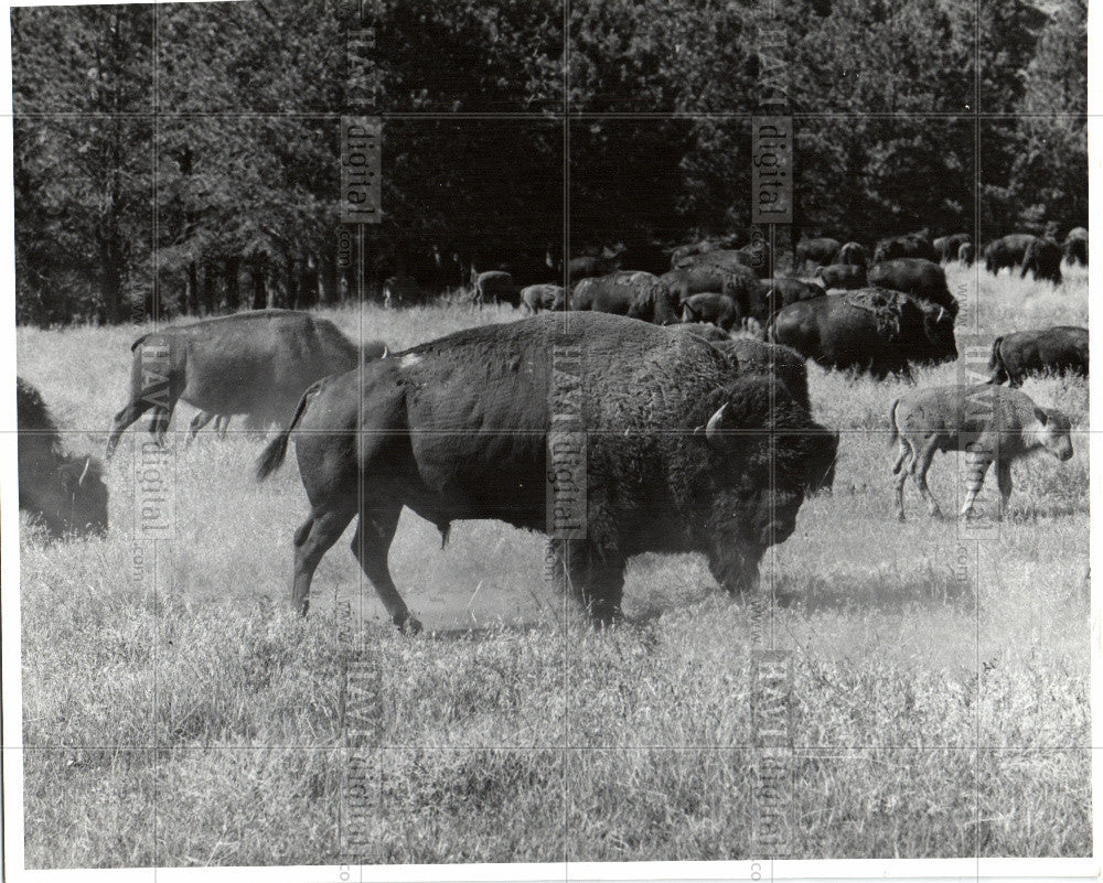 Press Photo King Of Prairie Beats - Historic Images