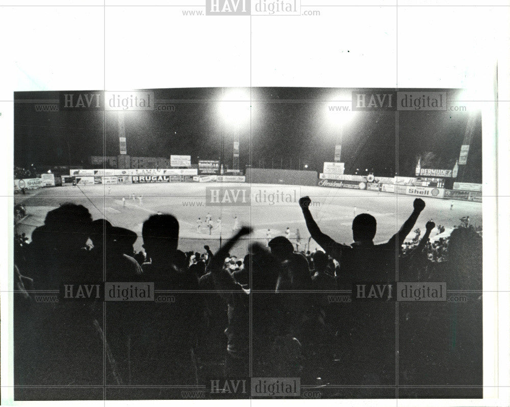 1986 Press Photo Fans cheer for the Licey Tigers - Historic Images