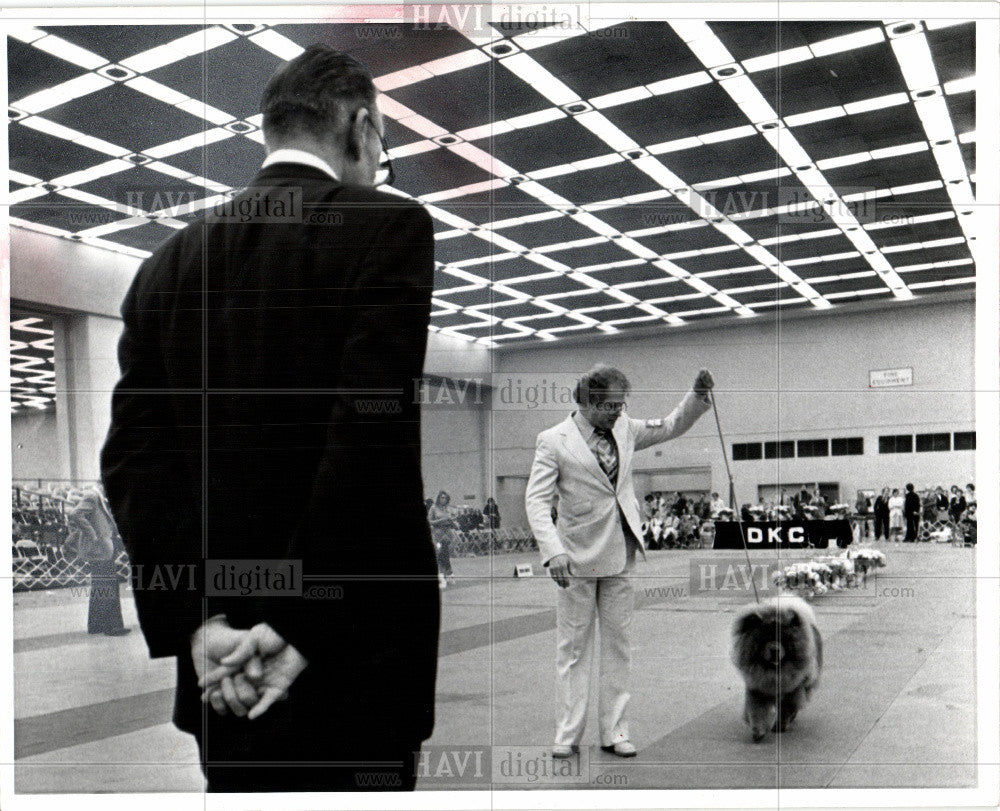 1978 Press Photo Dog show - Historic Images