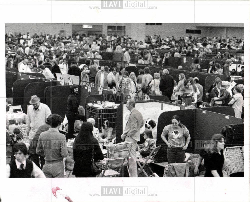 1977 Press Photo dog,day,show,cobo,detroit,show,prize - Historic Images