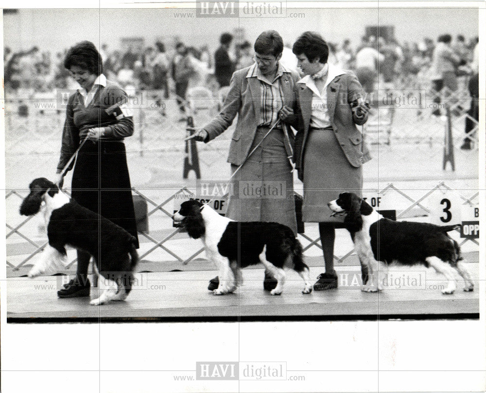 1980 Press Photo Dog show - Historic Images