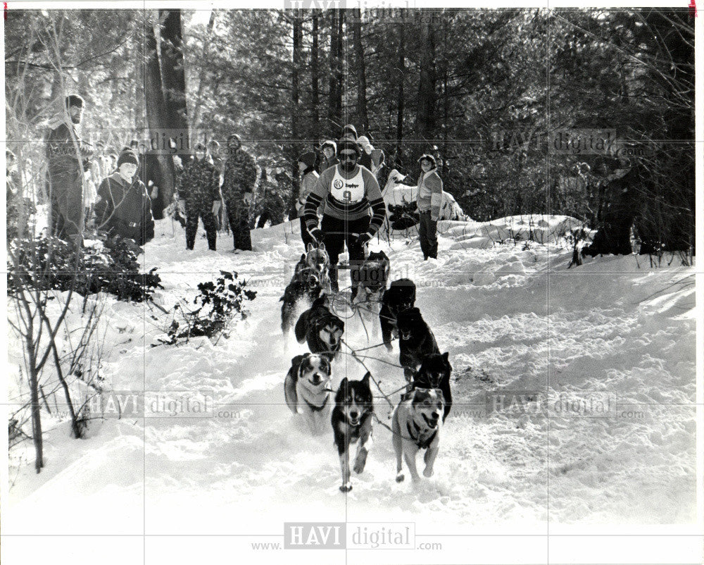 1985 Press Photo Dog Sled Racing - Historic Images