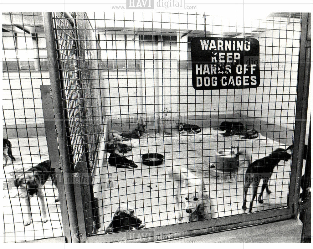 1983 Press Photo Animal Control center - Historic Images