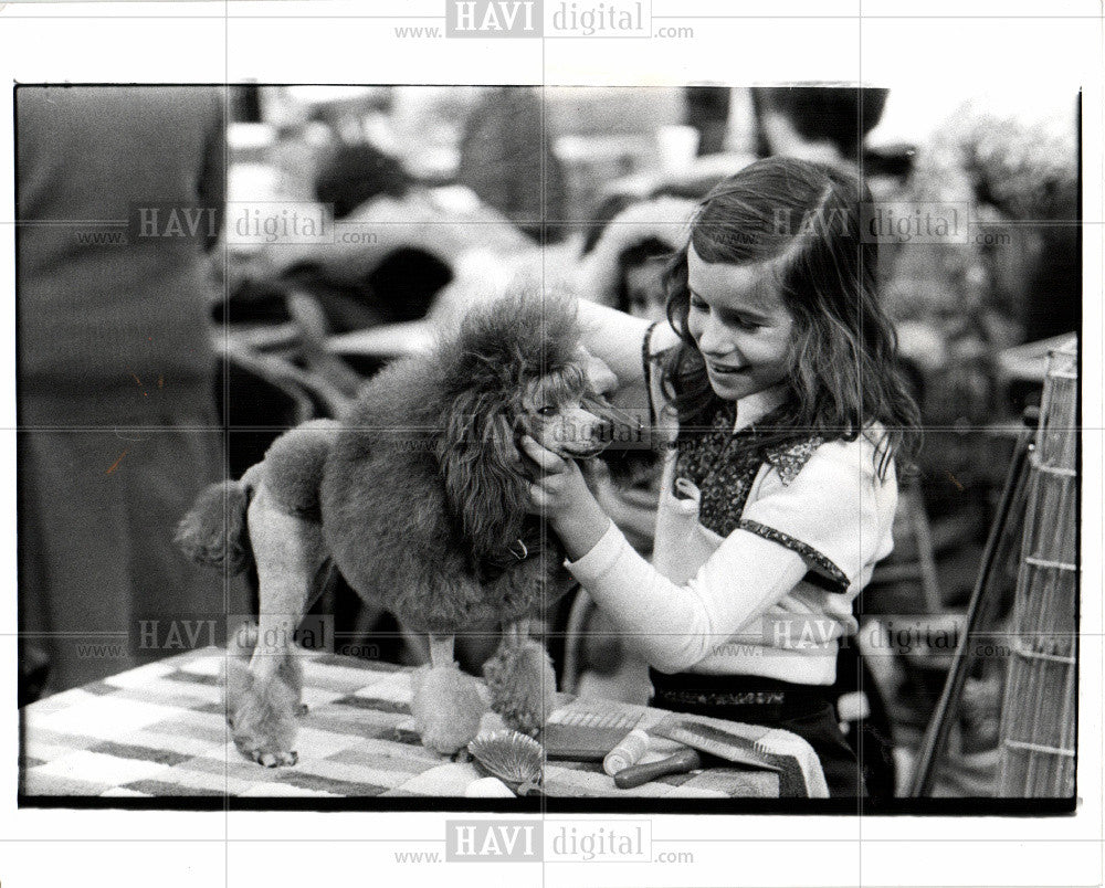 1978 Press Photo Dog Poodle grooming Tina Kauffman - Historic Images
