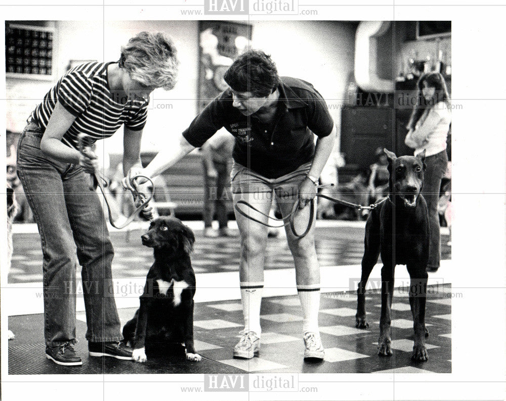 1981 Press Photo dog, dog obidence training - Historic Images