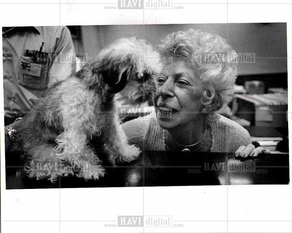 1980 Press Photo Mt St Helens, eruption, dog survivor - Historic Images