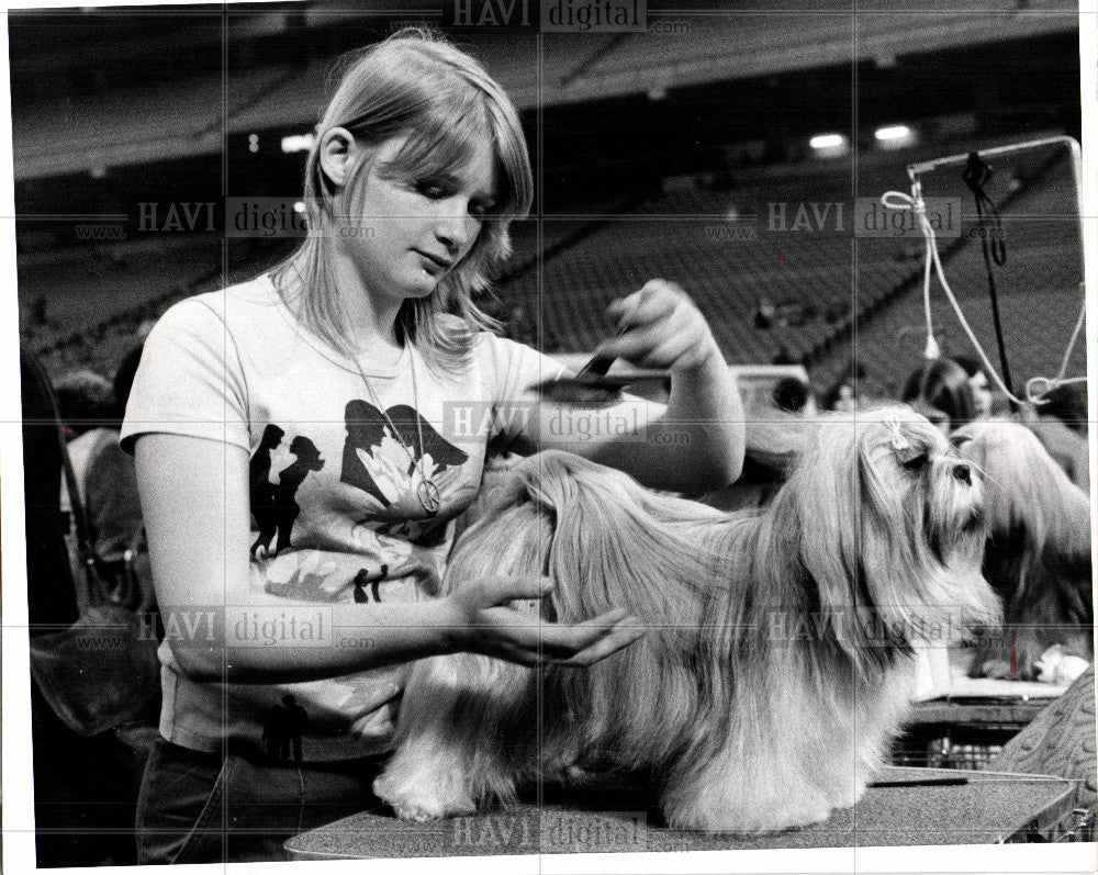 1917 Press Photo Dog Show - Historic Images