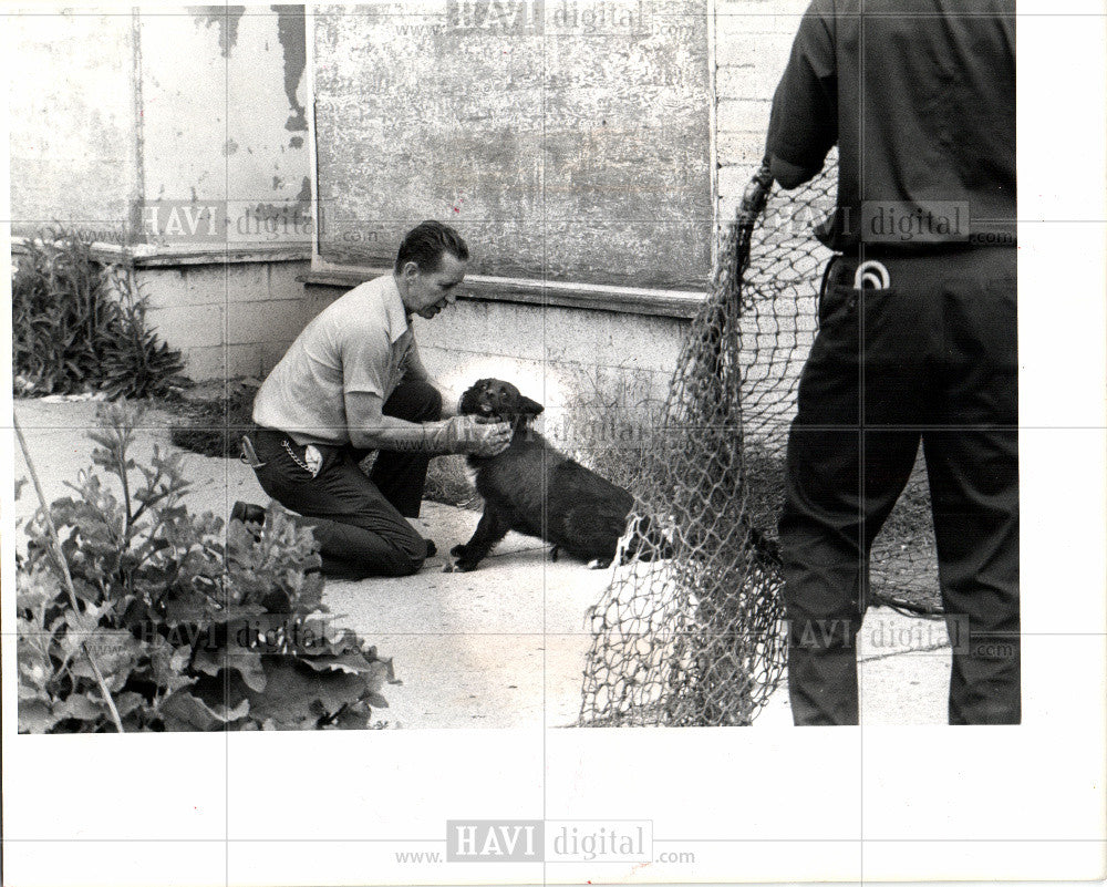 1977 Press Photo Dogcatcher 1977 - Historic Images