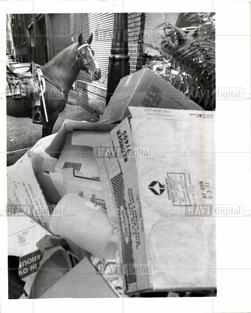 1978 Press Photo garbage piling up in downtown Detroit - Historic Images