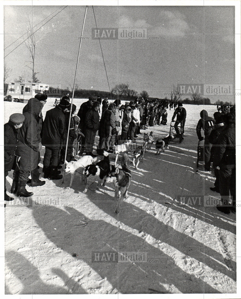 1972 Press Photo Dog Sled Racing - Historic Images