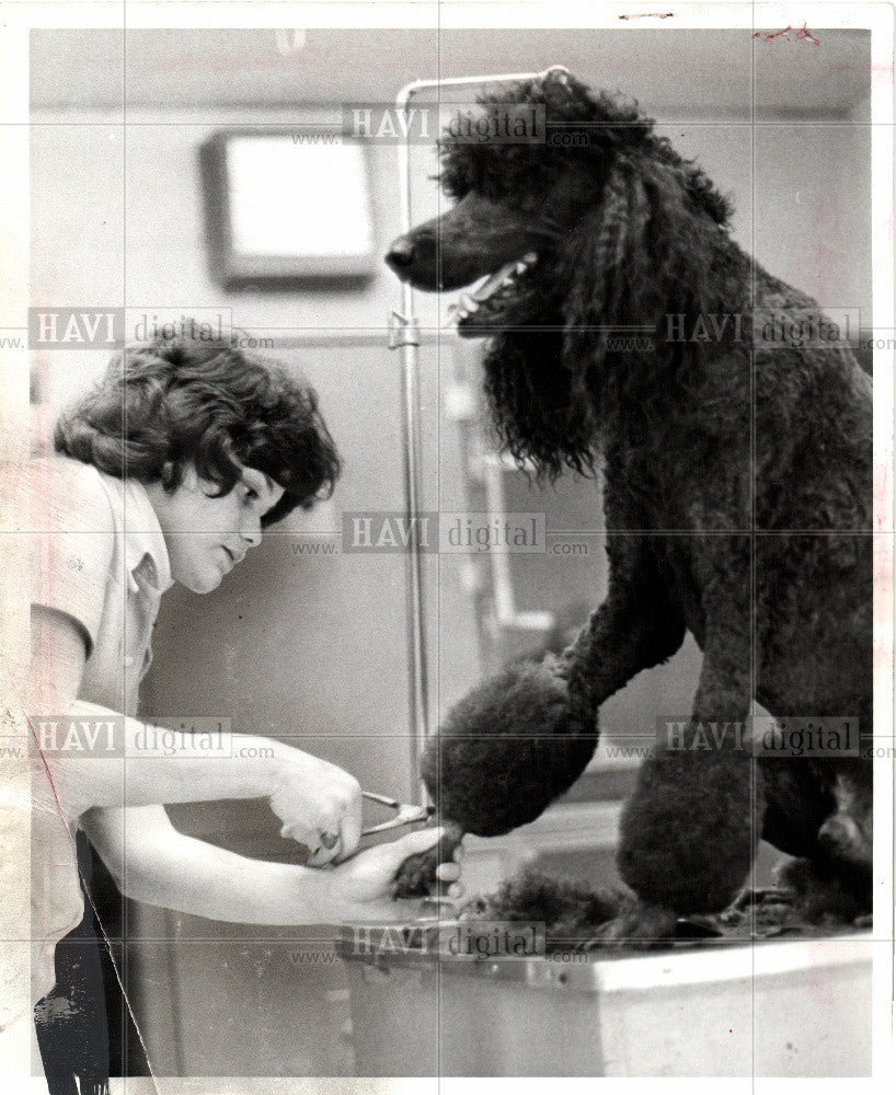 1974 Press Photo breed of dog - Historic Images