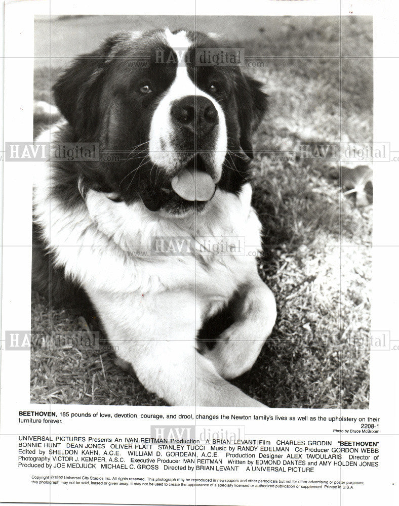 1992 Press Photo BEETHOVEN - Historic Images