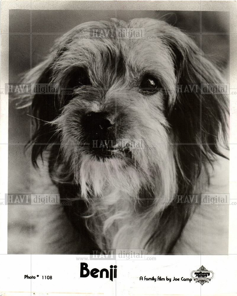 1975 Press Photo Benji Joe Camp Film dog - Historic Images