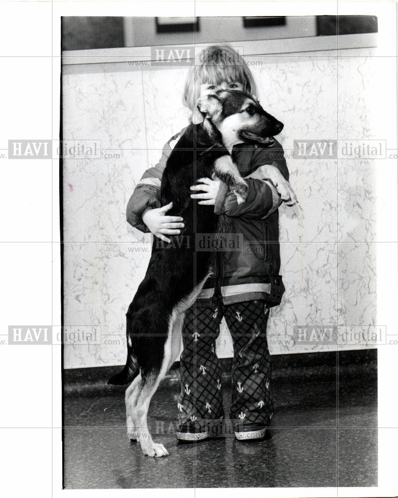 1979 Press Photo a dog which is not purebred, - Historic Images