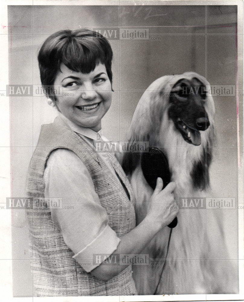 1967 Press Photo Mrs. Shirley Pearson AFGHAN HOUND - Historic Images