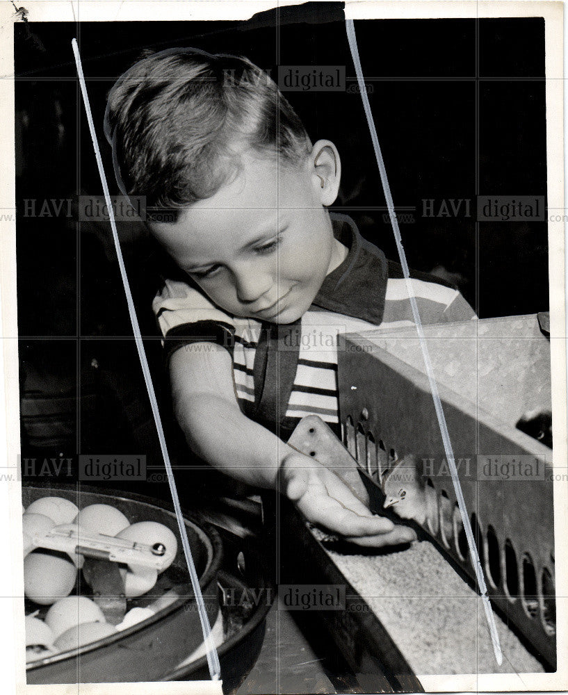 1952 Press Photo Detroit Lingemann School Chick Chicks - Historic Images