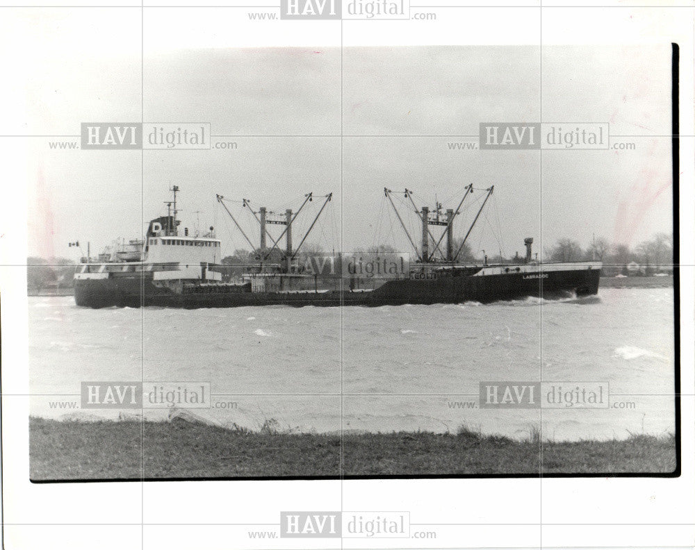 1984 Press Photo Labradoc st. clair River belle isle - Historic Images