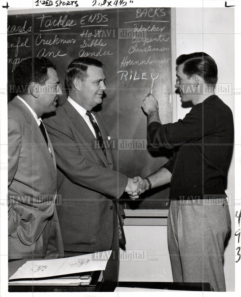 1955 Press Photo Lions - Historic Images