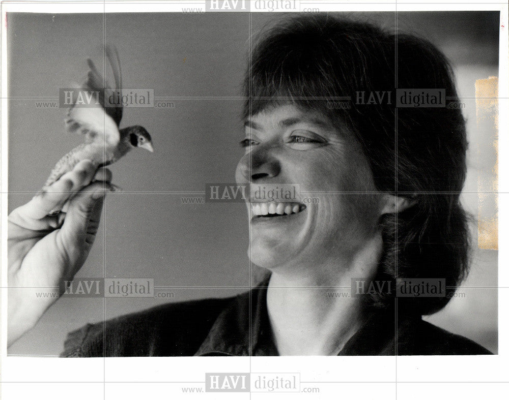 1991 Press Photo TERRY ROOT - Historic Images