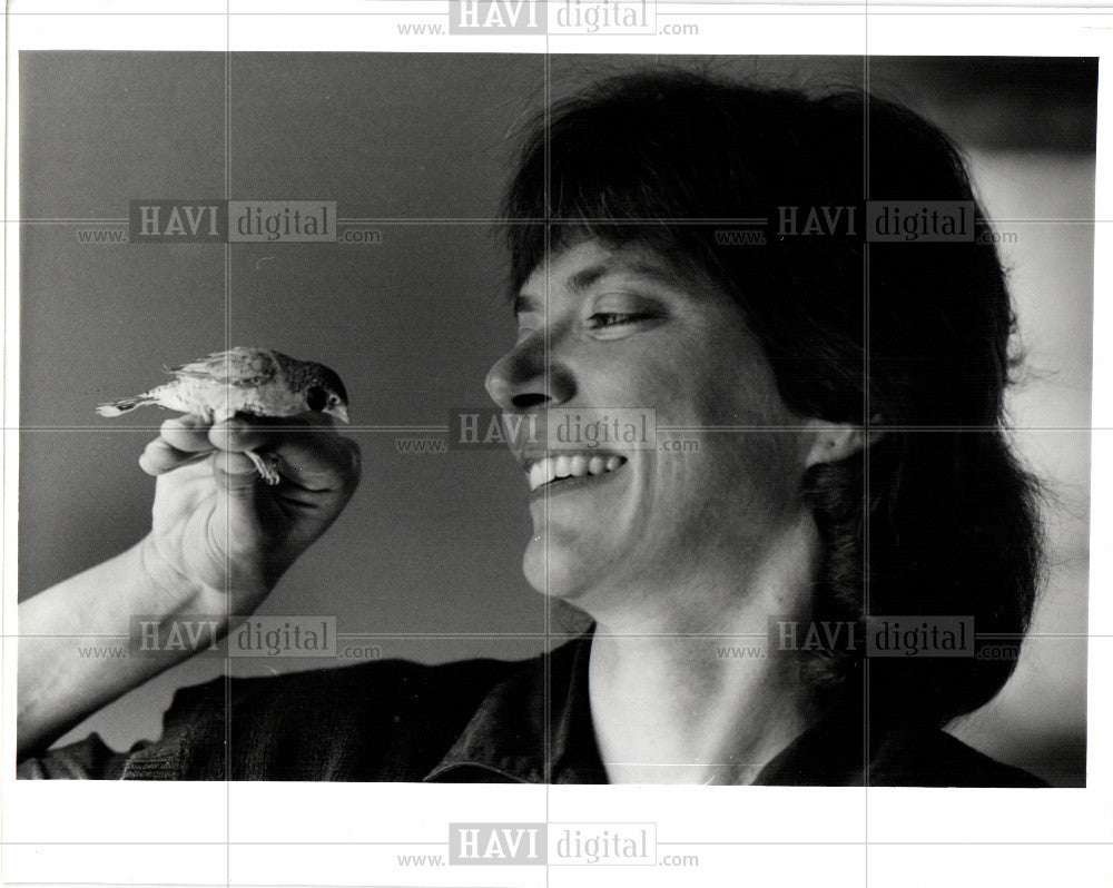 1991 Press Photo Terry Root holding Bird studies Birds - Historic Images