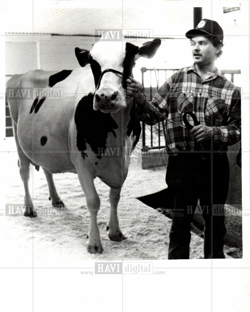 1982 Press Photo cow cattle life nature animals 1982 - Historic Images