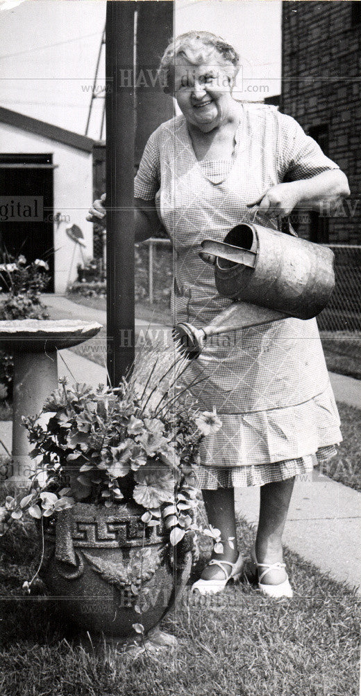 1953 Press Photo Calista Plant Corktown Detroit Flowers - Historic Images