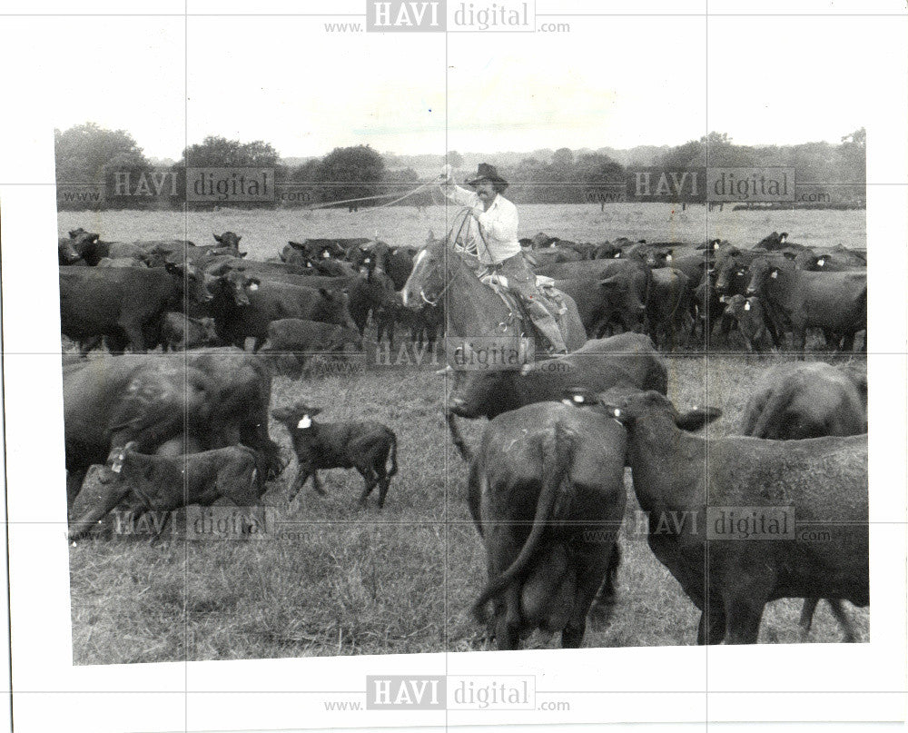 1985 Press Photo Loftin, cowboys - Historic Images